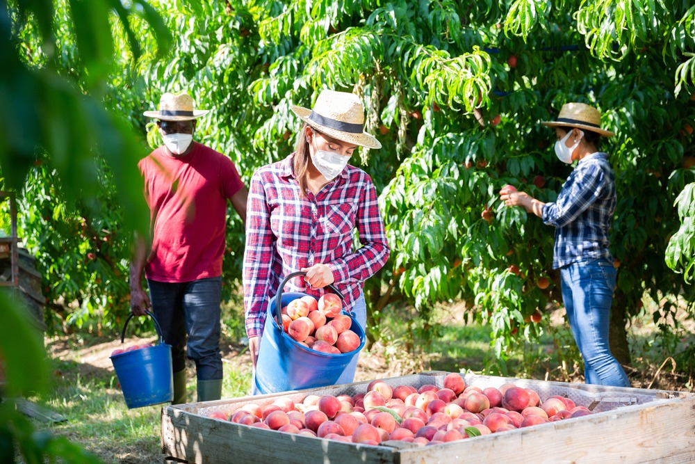 Top 5 Most Common Injuries for Agricultural Workers in South Carolina